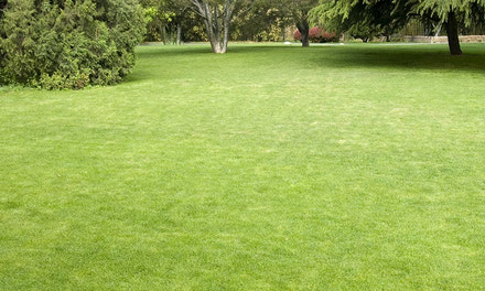 Hydroseeding | Advantages