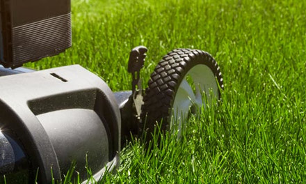 Hydroseeding | Lawn Care