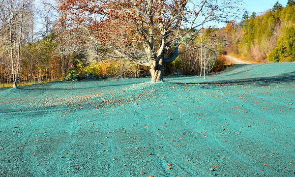Hydroseeding