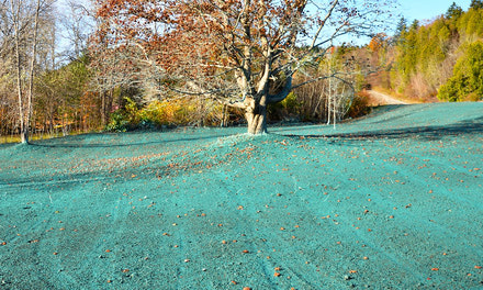 Hydroseeding